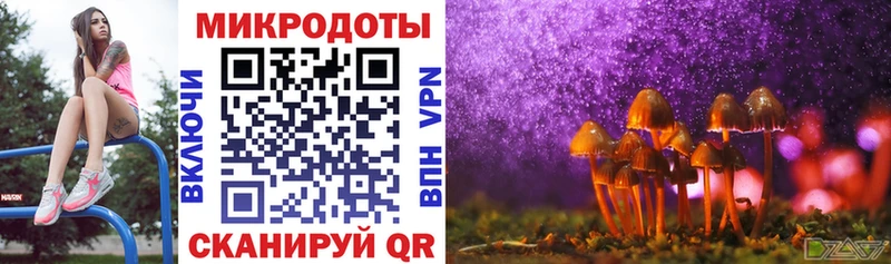 Купить  Радужный  Псилоцибиновые грибы MAGIC MUSHROOMS 